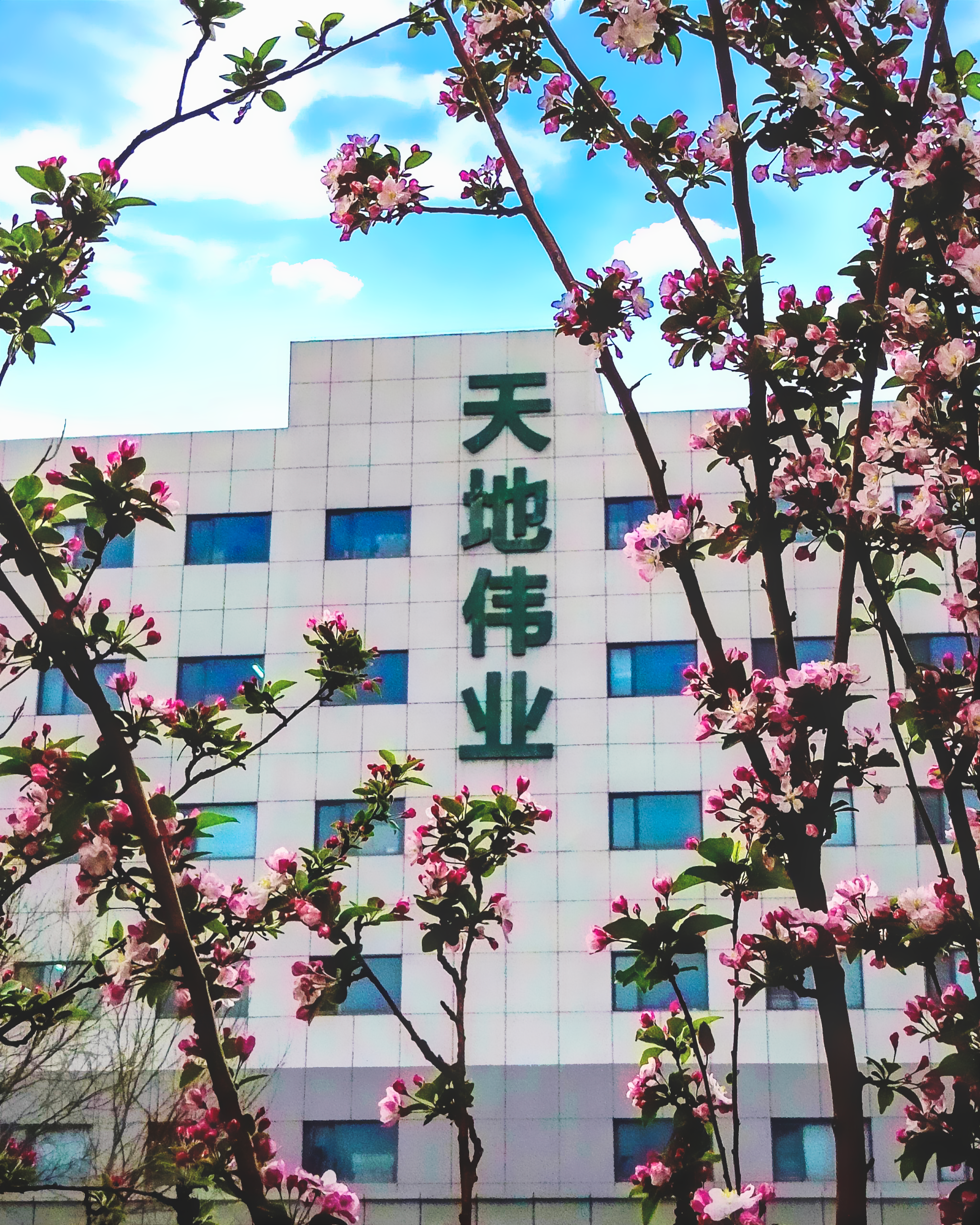 3-2404260U11K58 首页- 尊龙集团中国官方网站